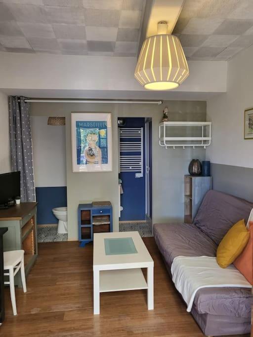 Apartment Studette Independante Et Coquette Avec Terrasse Sur Jardin *